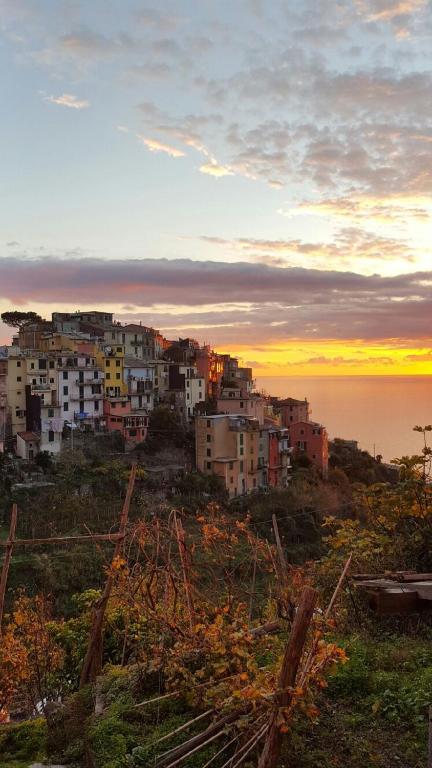 Terre Apartment - Bed and Breakfast Corniglia