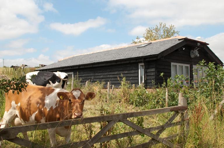 Bull Farm Studios - Chambres d'hôtes Winchester