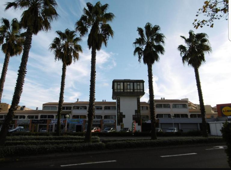 Black loft - B&B Le Cap d'Agde