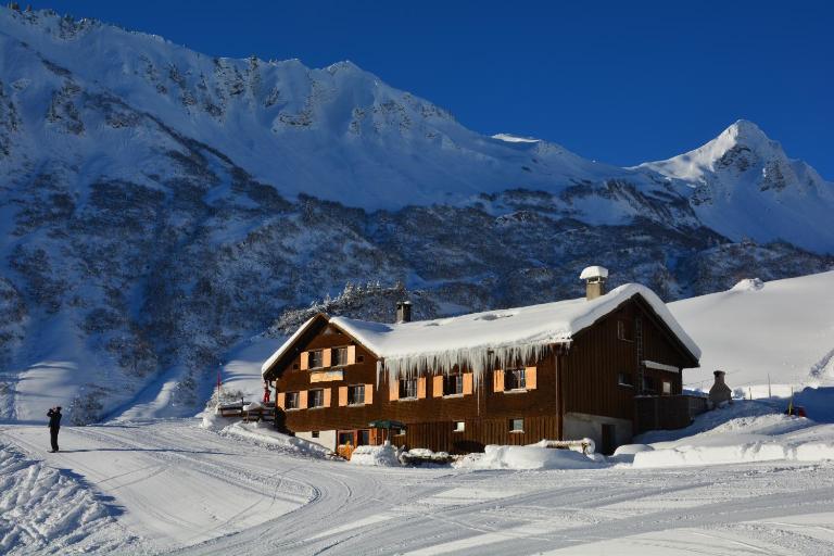 Alm – Chalet Domig - B&B Damüls