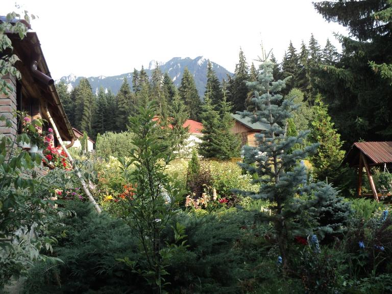 Casa Serban - B&B Durău