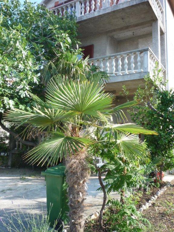 Apartments Ane - B&B Sukošan