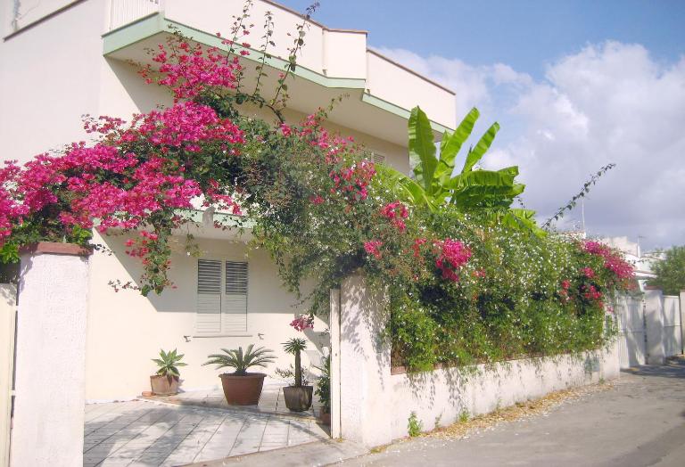 Villa Trinacria - B&B Santa Maria del Focallo