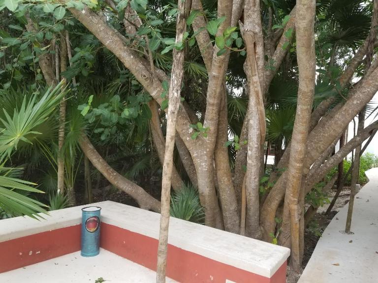 Casa Azul - B&B Akumal