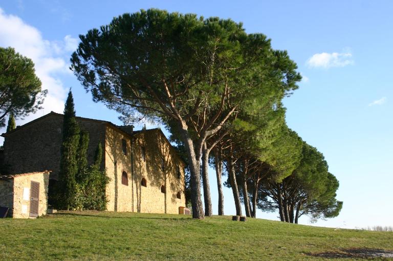 Casalevecchio - B&B Casale Marittimo