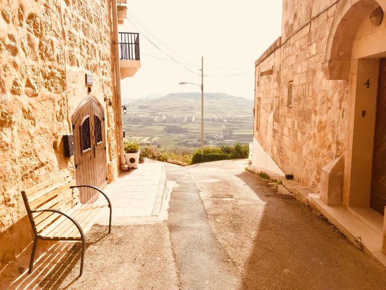 Brooklyn Farmhouse - B&B Zebbug