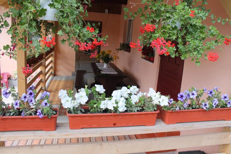Casa Andreia - B&B Gura Humorului