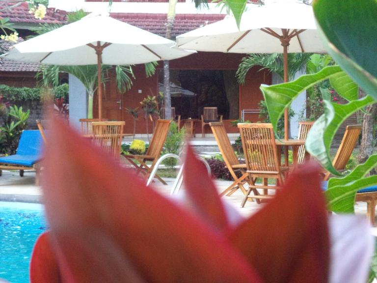 Hotel My Lovina - B&B Lovina