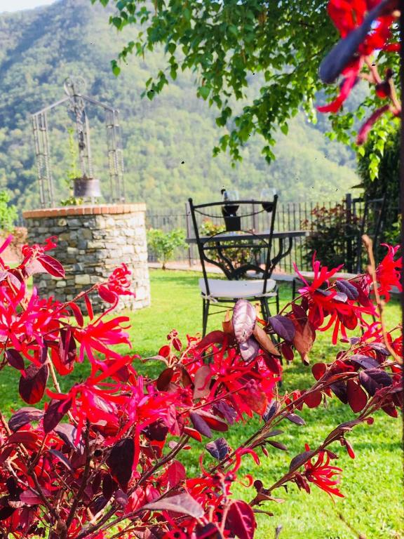 Green House - B&B Pieve di Teco