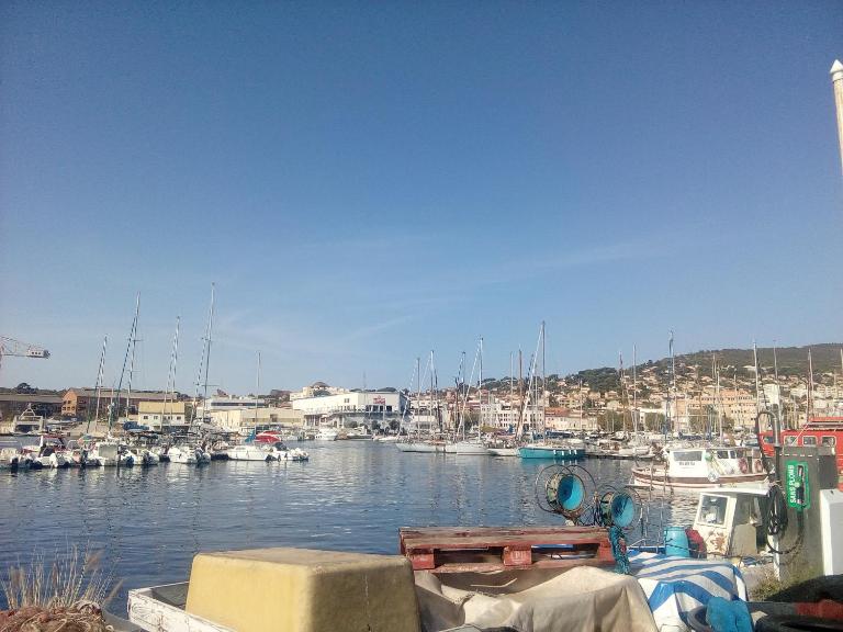 Ethan - B&B La Ciotat