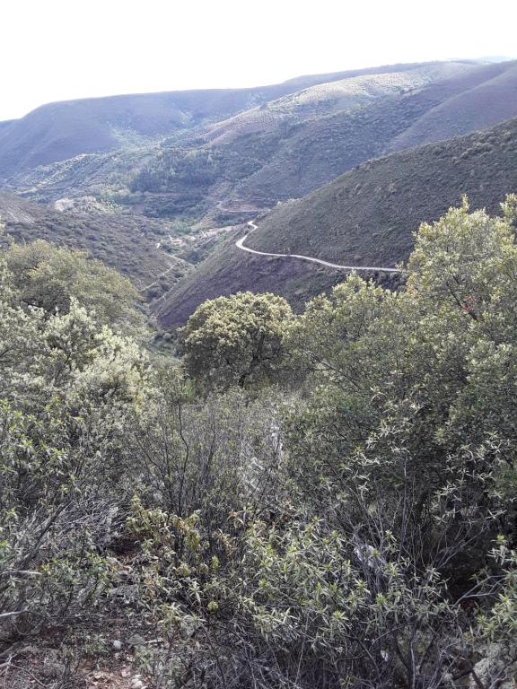 Casa Rural Costanilla - B&B San Miguel de Valero