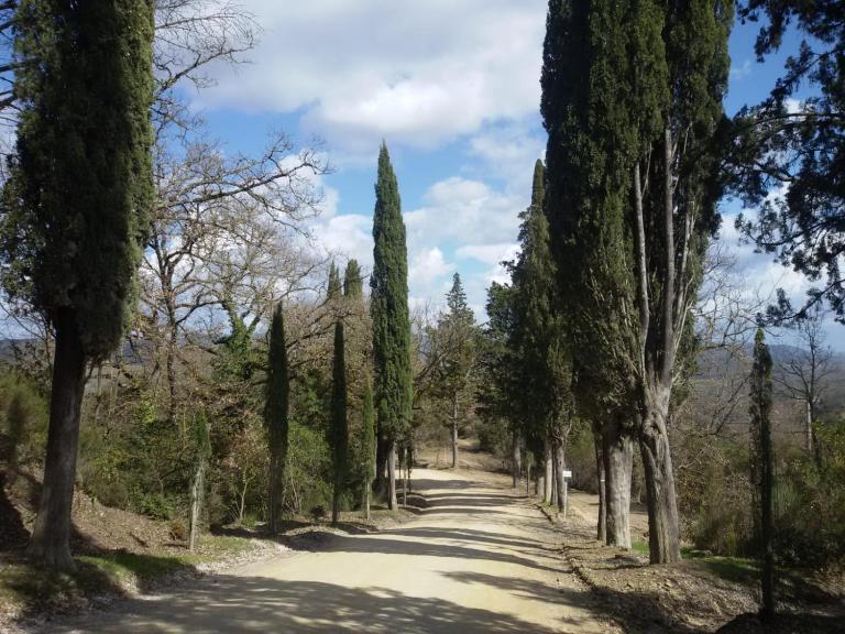 La Campesa - Chambres d'hôtes Vagliagli