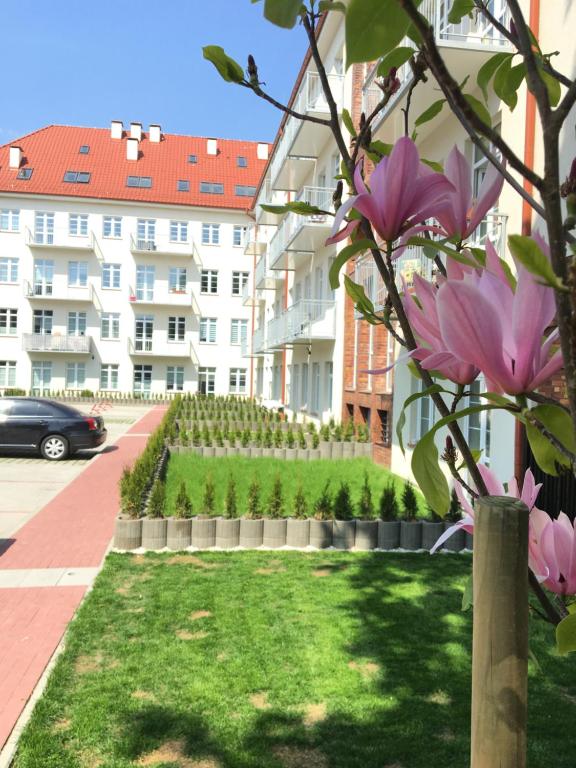 Janosik - B&B Szczecin