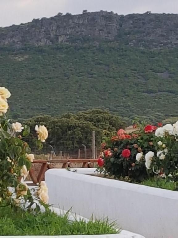 Finca La Rinconada - Bed and Breakfast Calamonte