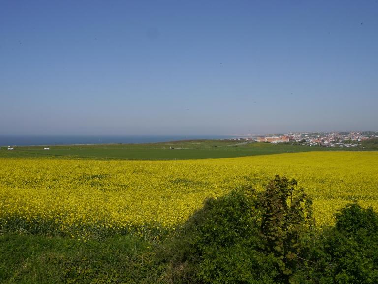 La Baie Saint Jean Face Mer - B&B Wimereux