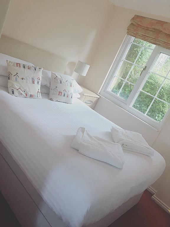 Camellia Chalet - B&B Germoe