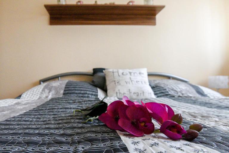 Rózsa Völgy Apartman - Ferienwohnung Erlau