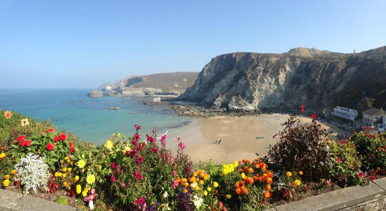 Rosenn Teyr - B&B Saint Agnes