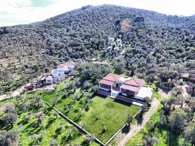 Gera's Olive Grove - Elaionas Lesvou - Ferienwohnung Pérama