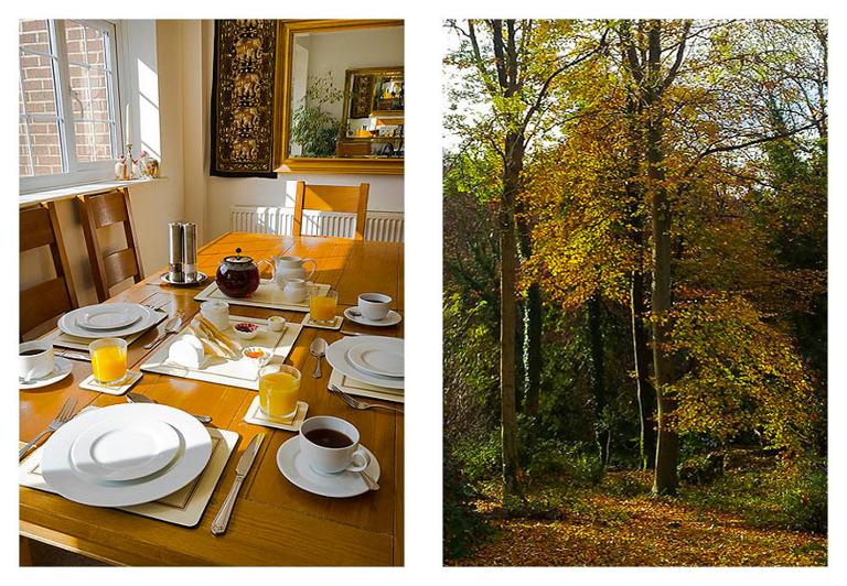 Woodland Views - B&B Milton Abbas