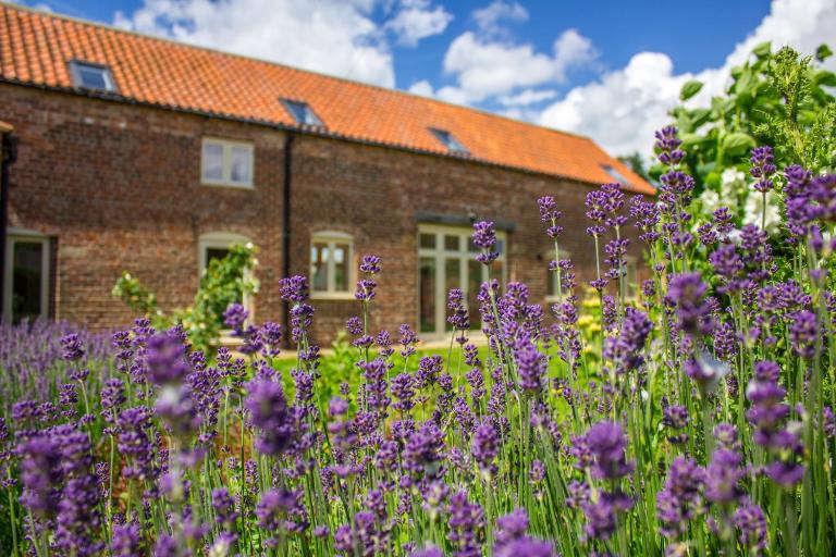 Shakespeare Cottage - Bed and Breakfast Lincoln