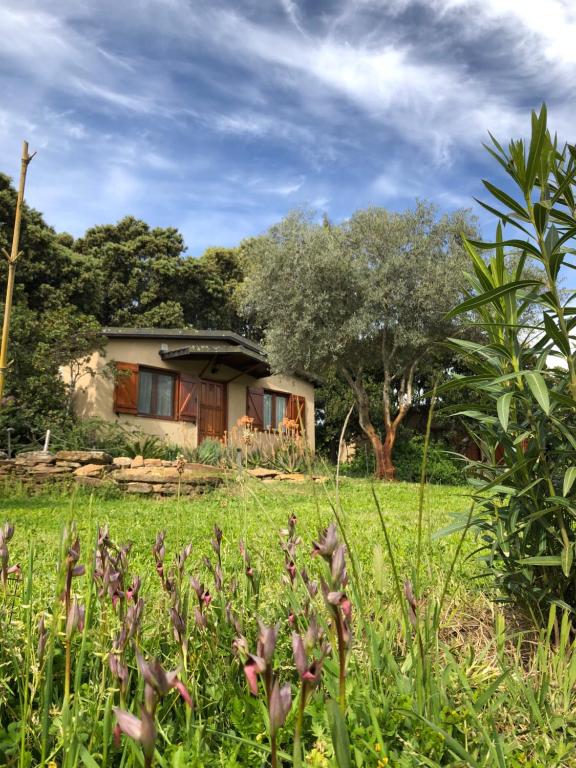 La Cerca Del Alcornoque - Ferienwohnung Casas de Belvis