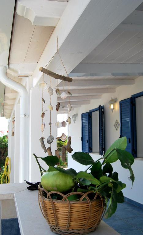 Villa Salina fronte mare - B&B Santa Maria del Focallo