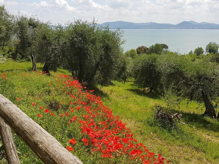 Antica casa di famiglia - B&B Castiglione del Lago