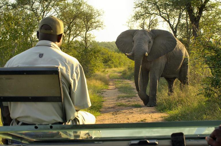 Lukimbi Safari Lodge - B&B Malelane