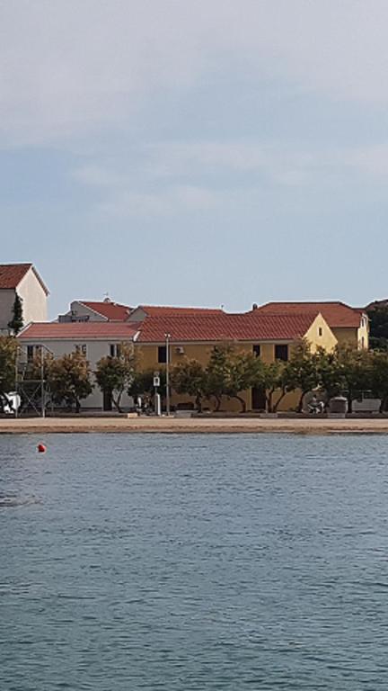 Beach apartment VAMI with sea view - B&B Murter