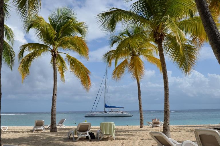 Cotton residences - Bed and Breakfast Sainte-Anne