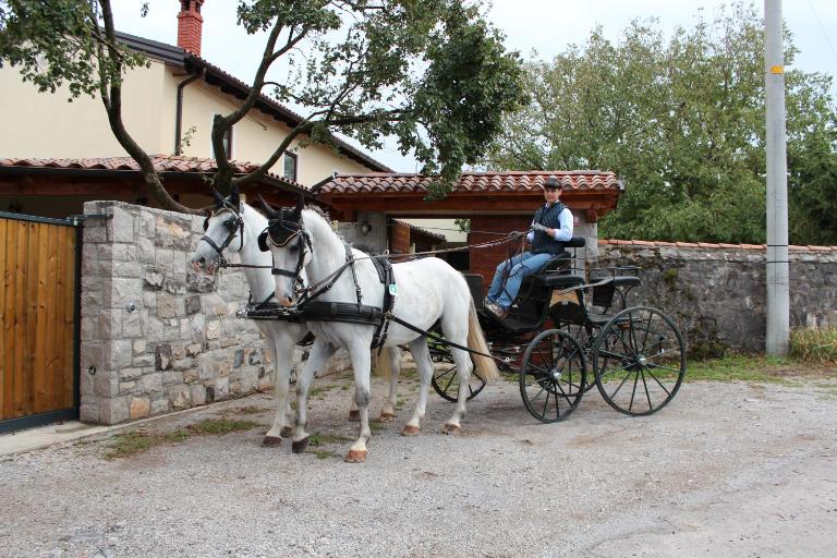 Country House Lokev - B&B Corgnale