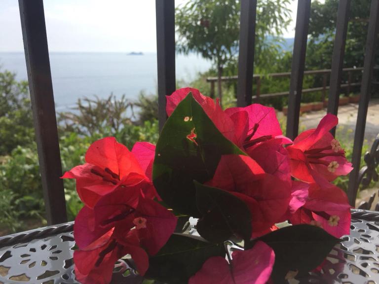 Casa Rosetta - B&B Praiano