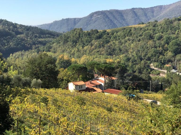 Il Poggiolo ai Casini - B&B Scopeti