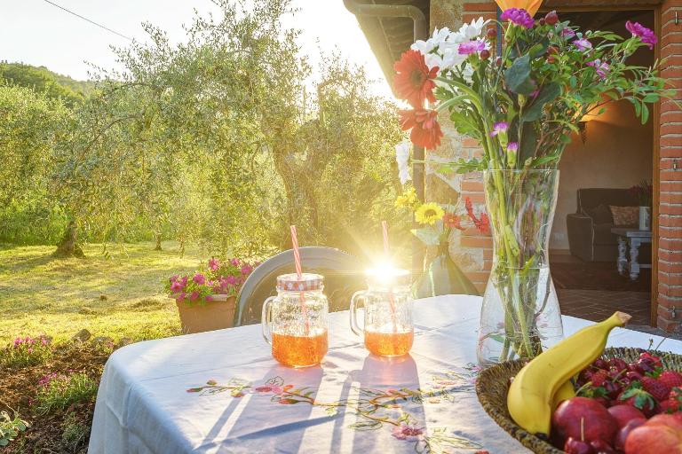Tuscan Roots - B&B La Querce