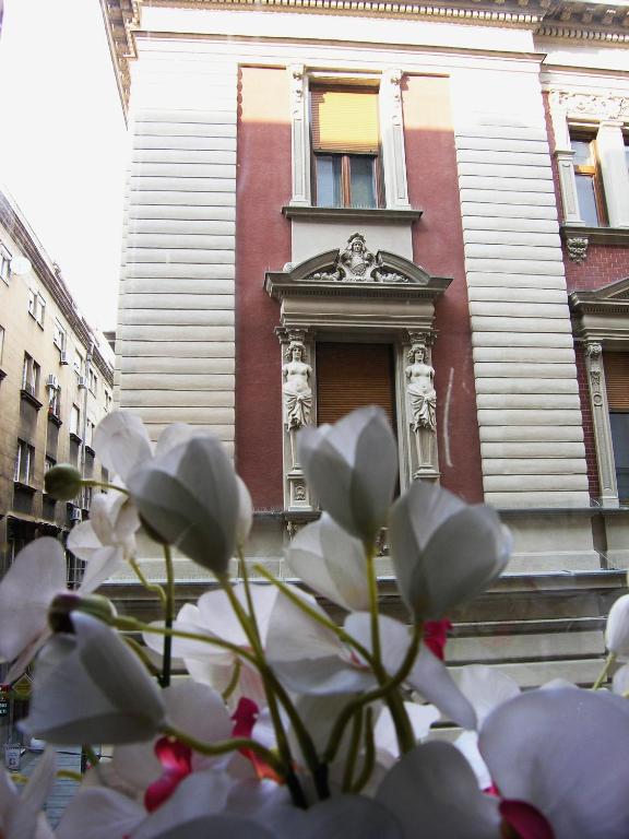 Apartment Danijela-City Centar - Bed and Breakfast Belgrado