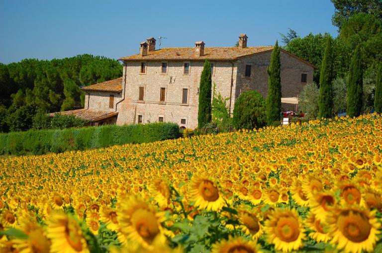 Agriturismo Casale Dei Frontini - Ferienwohnung San Terenziano