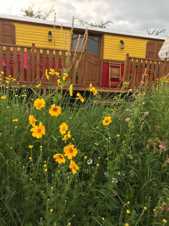 la roulotte de l'ami nature - B&B Barrais-Bussolles