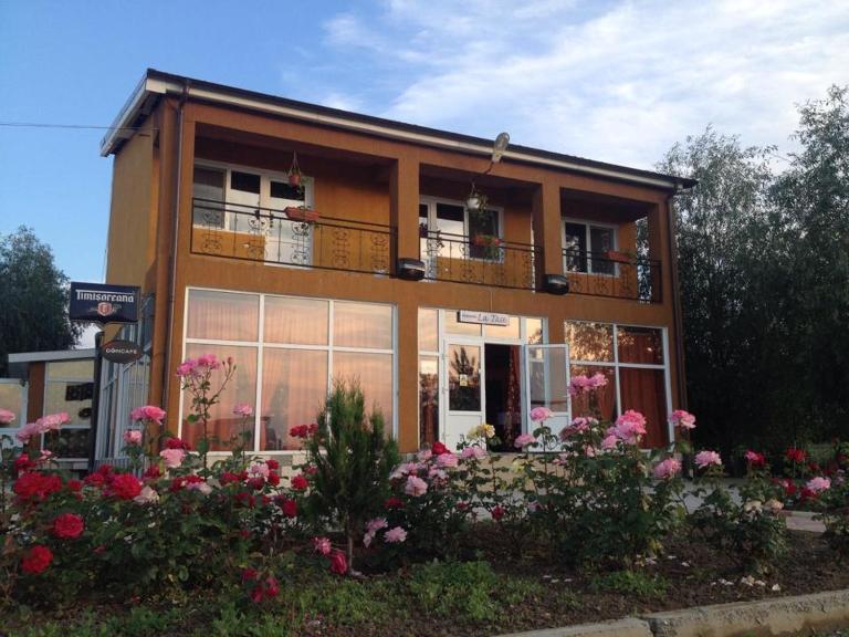 Pensiunea La Tase - B&B Calafat
