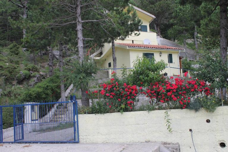 Eagle's nest - B&B Lekër
