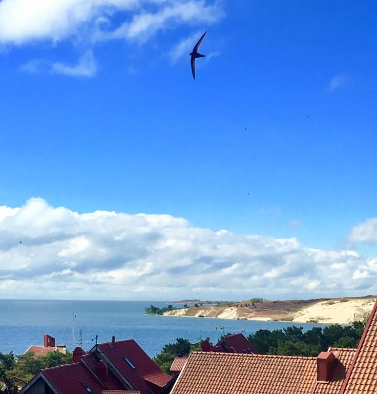 Neringa - Bed and Breakfast Nida