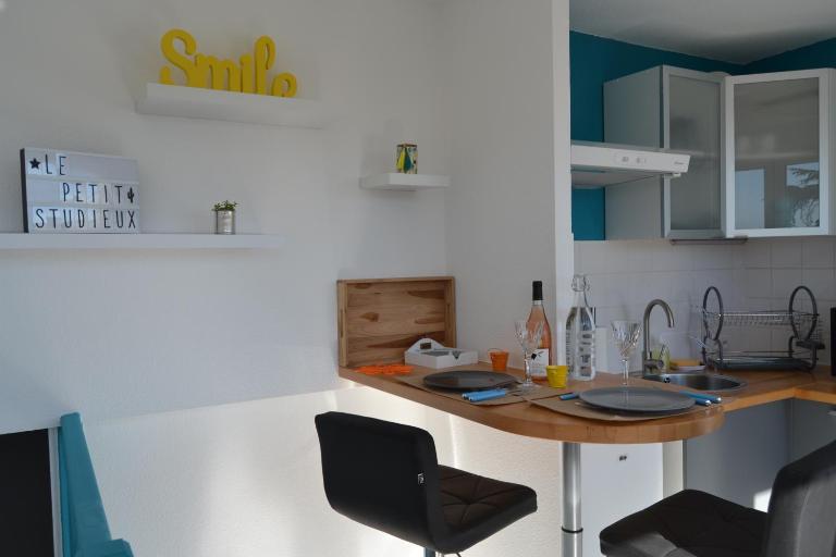 Le petit studieux - Parking - Animaux acceptés - Centre ville accessible à pied - Bed and Breakfast Albi