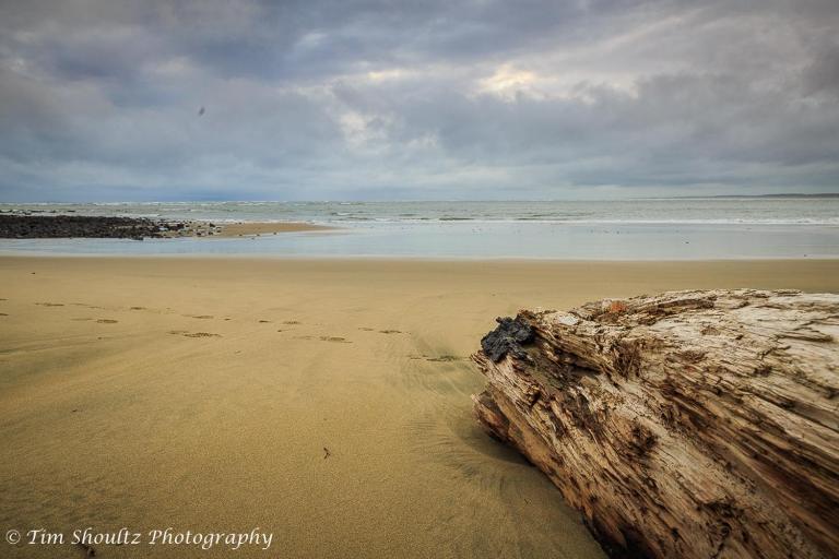 Whare Manu Boutique Cottage - B&B Invercargill