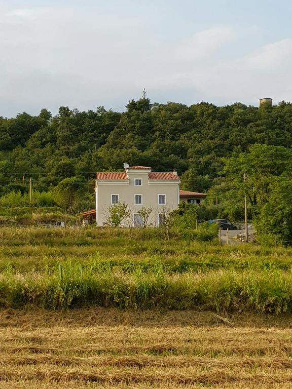 Vila Flora - B&B Sečovlje