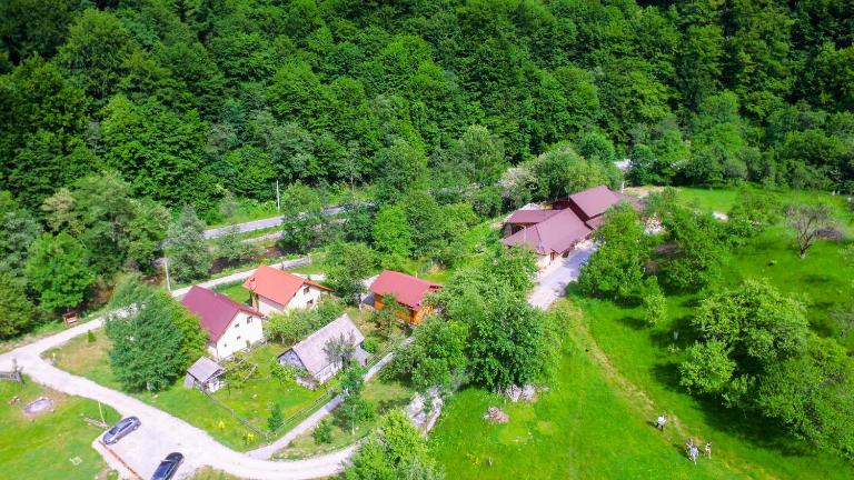 Pensiunea Lupul Dacic - Ferienwohnung Costești