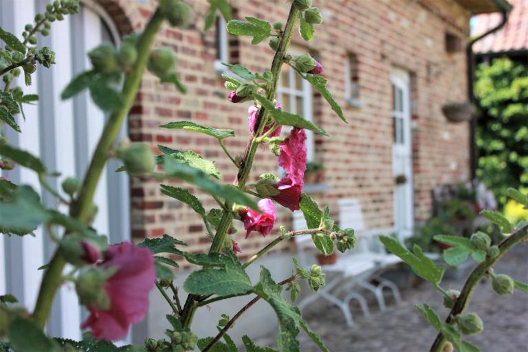 De Volle Maan - B&B Sint-Lievens-Houtem