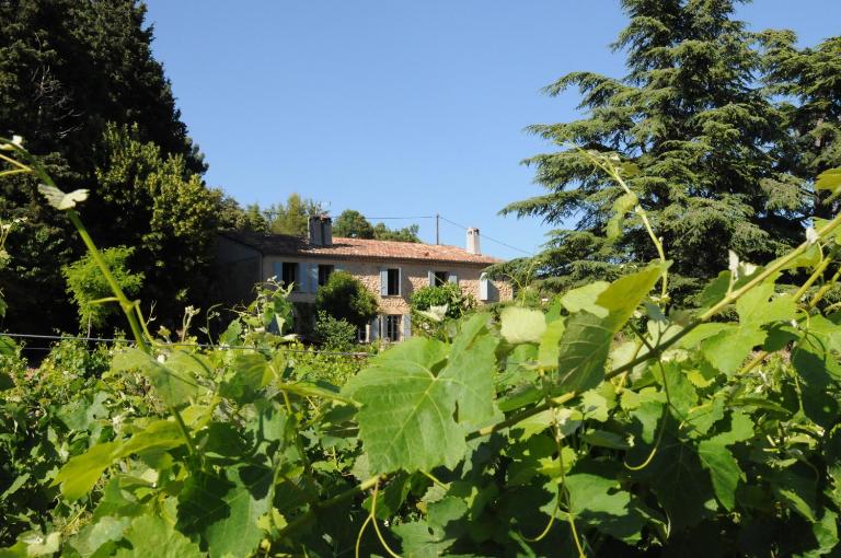 Les Vignes de Terrisse - B&B Entrecasteaux