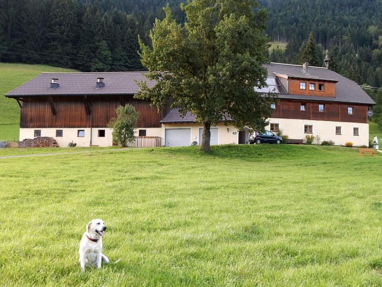 Kiblerhof - Chambres d'hôtes Russbach am Pass Gschütt