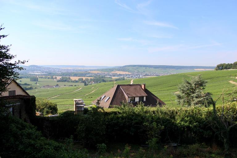 Le Sarment - HAUTVILLERS - B&B Hautvillers