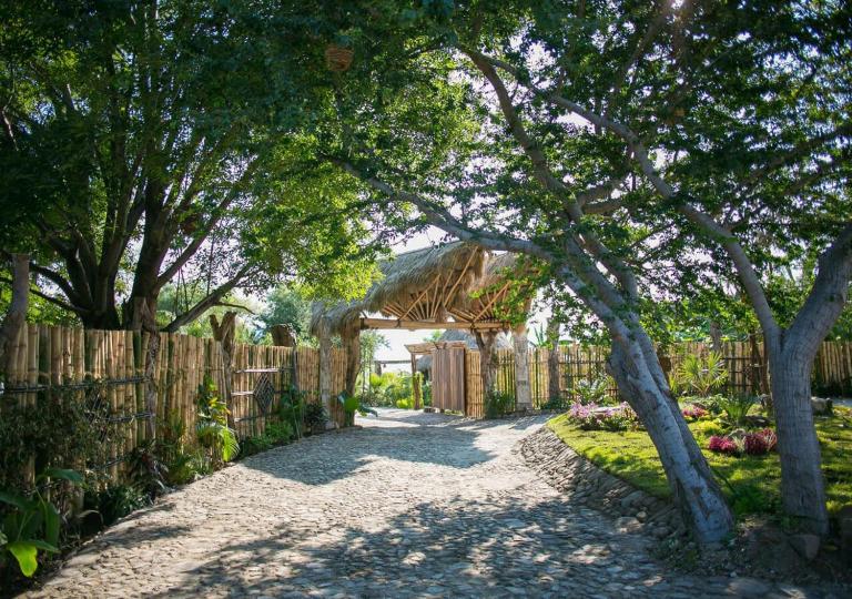 Eco Hotel Tahawi - Chambres d'hôtes Ajijic